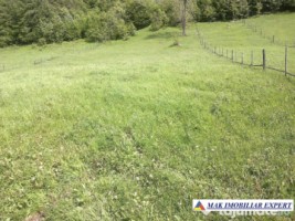 teren-12-ha-intravilan-in-ciocanu-dambovicioara-arges-5