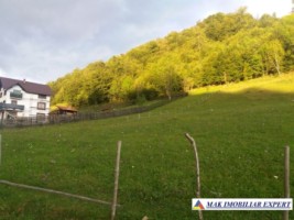 teren-12-ha-intravilan-in-ciocanu-dambovicioara-arges-6