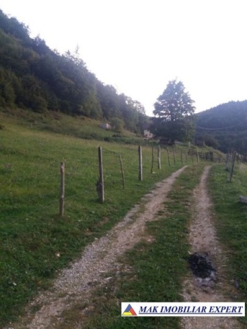 teren-12-ha-intravilan-in-ciocanu-dambovicioara-arges-7