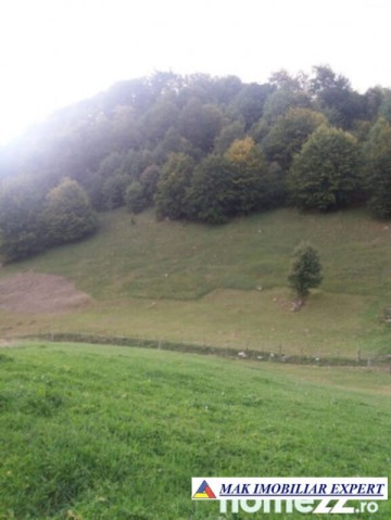teren-12-ha-intravilan-in-ciocanu-dambovicioara-arges-8