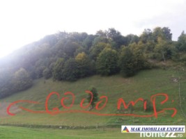 teren-12-ha-intravilan-in-ciocanu-dambovicioara-arges-9