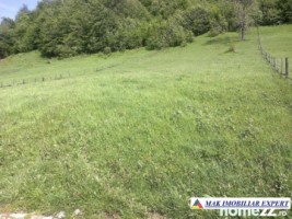 teren-12-ha-intravilan-in-ciocanu-dambovicioara-arges-11