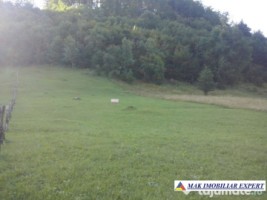 teren-12-ha-intravilan-in-ciocanu-dambovicioara-arges-13