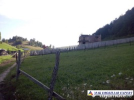teren-12-ha-intravilan-in-ciocanu-dambovicioara-arges-14