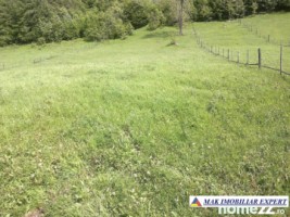 teren-12-ha-intravilan-in-ciocanu-dambovicioara-arges-16