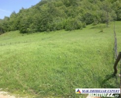 teren-12-ha-intravilan-in-ciocanu-dambovicioara-arges-17
