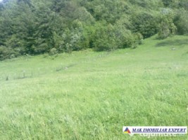teren-12-ha-intravilan-in-ciocanu-dambovicioara-arges-18