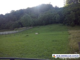 teren-12-ha-intravilan-in-ciocanu-dambovicioara-arges-20