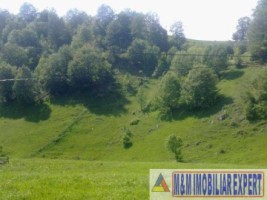 teren-6000-mp-intravilan-in-dambovicioara-arges