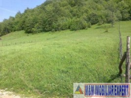 teren-6000-mp-intravilan-in-dambovicioara-arges-1