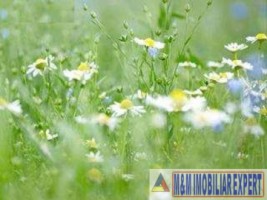teren-6000-mp-intravilan-in-dambovicioara-arges-3