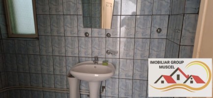 vanzare-vila-interbelica-ultracentral-decomandata-cu-6-camere-3-bai-3-holuri-bucatarie-si-terasa-cu-o-suprafata-de-teren-282-mp-super-oferta-pret-de-80000-de-euro-negociabil-16