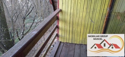 vanzare-cabana-in-centrul-com-bughea-de-jos-cu-o-priveliste-panoramica-si-o-suprafata-de-teren-intravilan-in-panta-de1465-mp-cu-o-suprafata-construita-de-44-mp-la-pretul-de26000-de-euro-negociabil-23