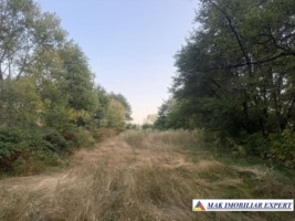 teren-1700-mp-intravilan-in-voinesti-leresti-arges-2
