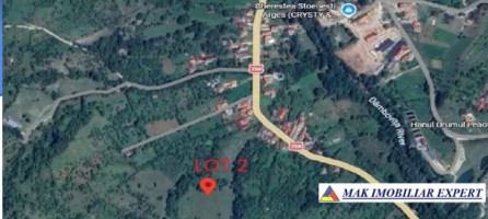 vand-3-loturi-9624-mp-teren-in-stoenesti-arges-4