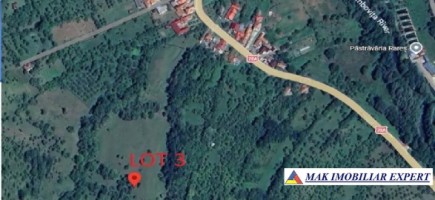 vand-3-loturi-9624-mp-teren-in-stoenesti-arges-5