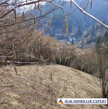 urgent-teren-intravilan-5000-mp-in-rucar-bran-arges-2