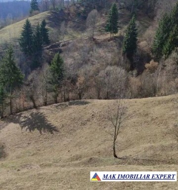 urgent-teren-intravilan-5000-mp-in-rucar-bran-arges-1