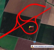 teren-extravilan-328-ha-de-vanzare-in-ghimpati-giurgiu-18