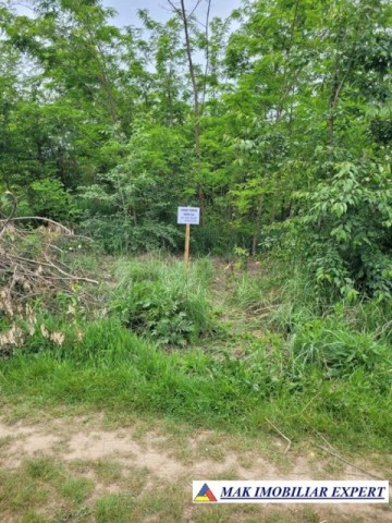 teren-agricol-3009-mp-extravilantitesti-arges-1