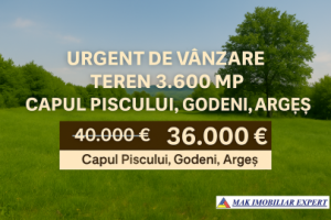 teren-3600-mp-intravilan-in-capul-piscului-godeni-arges
