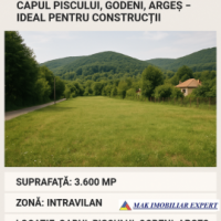 teren-3600-mp-intravilan-in-capul-piscului-godeni-arges-1