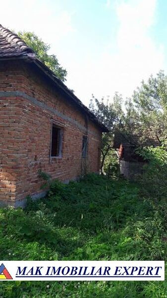 teren-intrav-1-ha-casa-la-rosu-bilcesti-valea-mare-pravat-ag-9