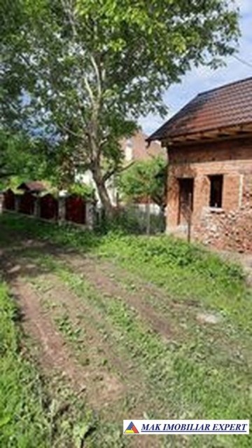 teren-intrav-1-ha-casa-la-rosu-bilcesti-valea-mare-pravat-ag-6