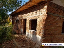 teren-intrav-1-ha-casa-la-rosu-bilcesti-valea-mare-pravat-ag-4