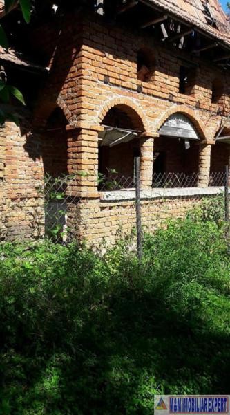teren-intrav-1-ha-casa-la-rosu-bilcesti-valea-mare-pravat-ag-5