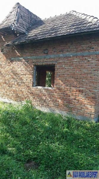 teren-intrav-1-ha-casa-la-rosu-bilcesti-valea-mare-pravat-ag-7