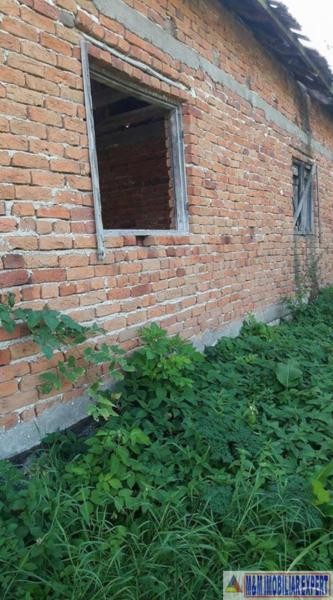 teren-intrav-1-ha-casa-la-rosu-bilcesti-valea-mare-pravat-ag-8