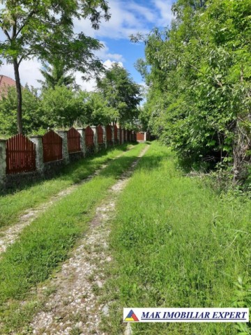 teren-intrav-1-ha-casa-la-rosu-bilcesti-valea-mare-pravat-ag-15