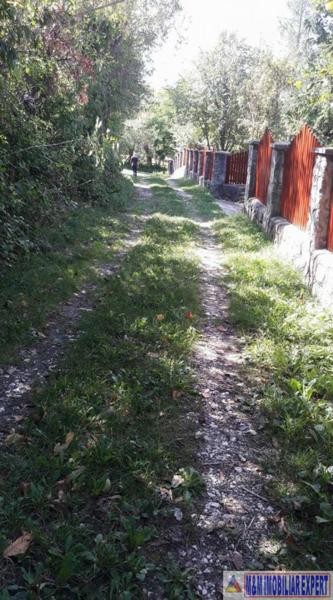 teren-intrav-1-ha-casa-la-rosu-bilcesti-valea-mare-pravat-ag-16