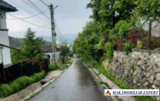 teren-intrav-1-ha-casa-la-rosu-bilcesti-valea-mare-pravat-ag-14