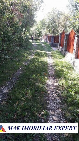 teren-intrav-1-ha-casa-la-rosu-bilcesti-valea-mare-pravat-ag-20