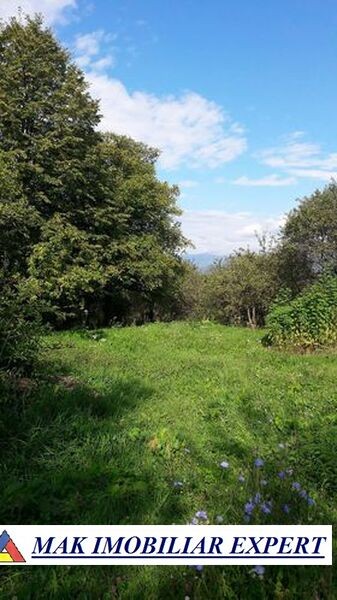 teren-intrav-1-ha-casa-la-rosu-bilcesti-valea-mare-pravat-ag-27