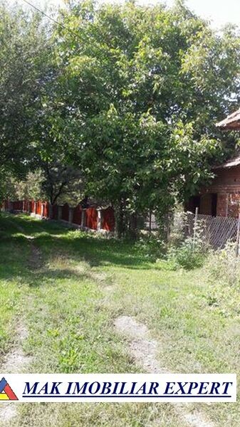 teren-intrav-1-ha-casa-la-rosu-bilcesti-valea-mare-pravat-ag-19