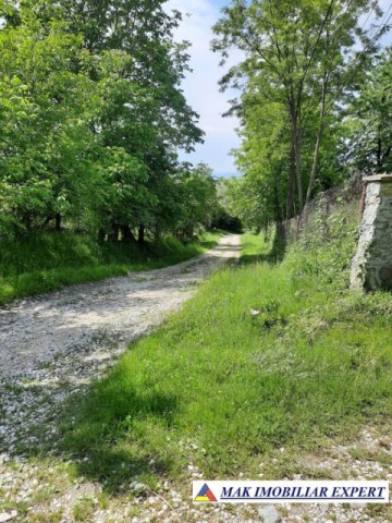 teren-intrav-1-ha-casa-la-rosu-bilcesti-valea-mare-pravat-ag-17