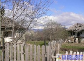 teren-intrav-1-ha-casa-la-rosu-bilcesti-valea-mare-pravat-ag-25