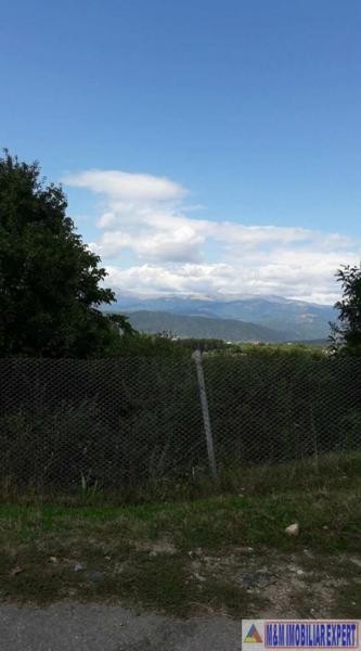 teren-intrav-1-ha-casa-la-rosu-bilcesti-valea-mare-pravat-ag-21