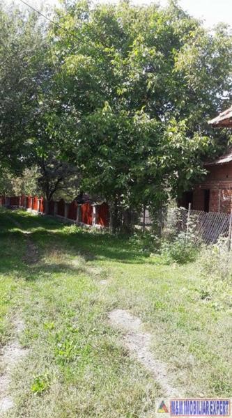 teren-intrav-1-ha-casa-la-rosu-bilcesti-valea-mare-pravat-ag-22