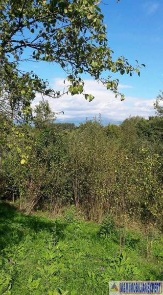 teren-intrav-1-ha-casa-la-rosu-bilcesti-valea-mare-pravat-ag-23