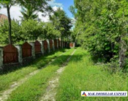 teren-intrav-1-ha-casa-la-rosu-bilcesti-valea-mare-pravat-ag-18
