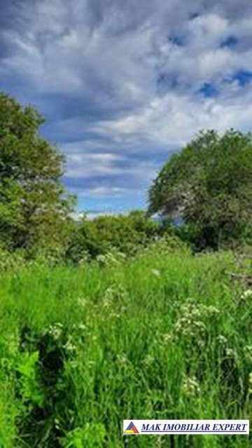 teren-intrav-1-ha-casa-la-rosu-bilcesti-valea-mare-pravat-ag-29