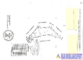 teren-intrav-1-ha-casa-la-rosu-bilcesti-valea-mare-pravat-ag-30