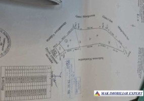 teren-intrav-1-ha-casa-la-rosu-bilcesti-valea-mare-pravat-ag-32