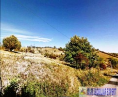 teren-intravilan-335-ha-pe-cretisoara-campulung-muscel-ag