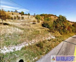 teren-intravilan-335-ha-pe-cretisoara-campulung-muscel-ag-3