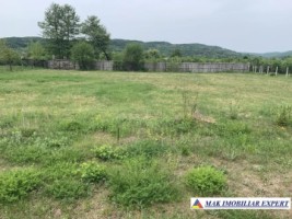 vand-teren-3500-mp-cu-lac-de-peste-1300-mp-stalpeni-arges-8
